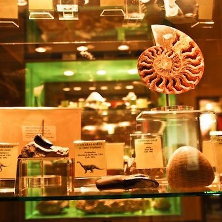Le Lodges Quievrain Екстериор снимка